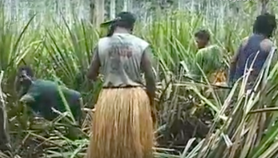 LA COLONISATION OUBLIÉE PAPOUS 